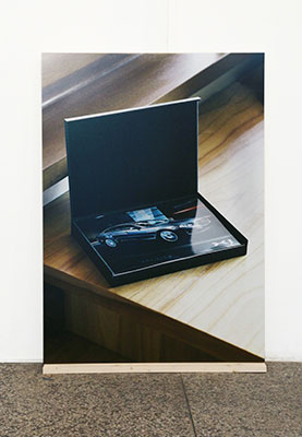 Rosa Rendl Jaguar (How alive are you), 2014, Lambdaprint kaschiert auf KAPA Leichtstoffplatte, auf der Bildrückseite: Print auf transparenter Klebefolie, 140 x 100 x 2cm