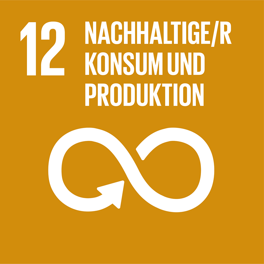 12. Nachhaltigkeitsziel: Nachhaltiger Konsum und Produktion