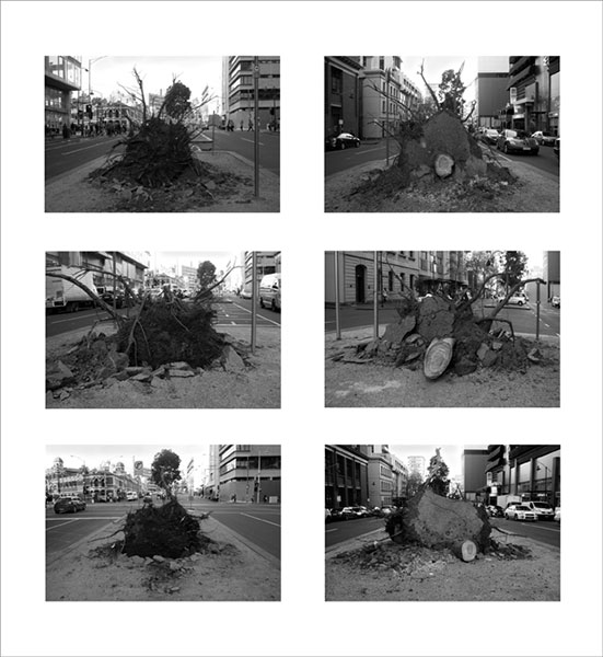 Eva-Maria Raab Roots, 2013, s/w Fotografie auf Baryt Papier, 61 x 66cm